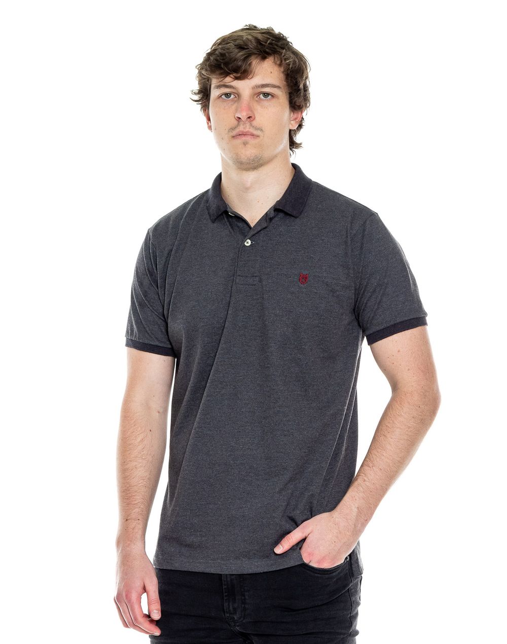 polo-042709-gris-2.jpg
